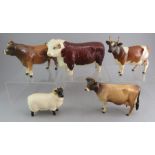 A group of Beswick pottery farm animals to include cows, a bull and a sheep. (5) in good overall