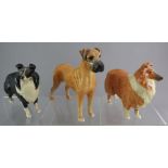 A group of Beswick pottery dogs to include a rough collie and a black and white collie etc. (3) In