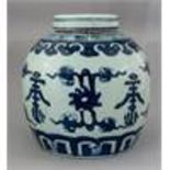 A 19th Century Chinese provincial blue and white g