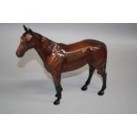 A Beswick horse, model 2422 Mill reef, mahogany bay colour