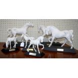 Three Beswick white matt glazed horses by Graham Tongue, Spirit of Fire, Freedom and Youth. Each