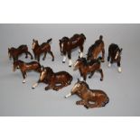 Seven brown gloss glazed Beswick standing foals, various models, together with two lying foals (