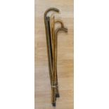 Edwardian silver topped walking cane, yard stick, teachers cane, plus later walking sticks