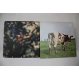 Two Pink Floyd Albums, Atom Heart Mother and Obscured By Clouds.  Atom Heart Mother is a first