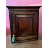 A George III country oak wall mounted spice cupboard, plain cornice, mahogany crossbanded panelled