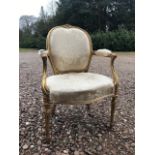 A French gilt fauteuil, of Louis XVI design, champagne silk damask upholstery with padded arms,