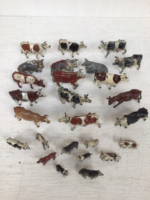 A collection of mid 20th Century cast farm cows, bullocks and calves