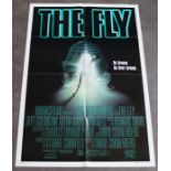Film Movie Poster interest  The Fly,