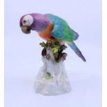 A Meissen porcelain Parrot with brocage, Meissen mark to back Condition, tail reglued some losses to