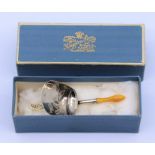 A Georgian ivory handled caddy spoon