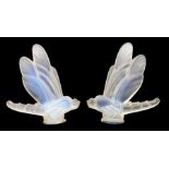 Two Sabino 'Libellule/Dragonfly' car mascots in opalescent glass. Approx 14.5cm high, 13.5cm long.