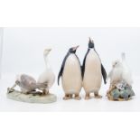 A group of Royal Copenhagen figures of birds to include: Penguins, no: 2918; two Geese, no: 609