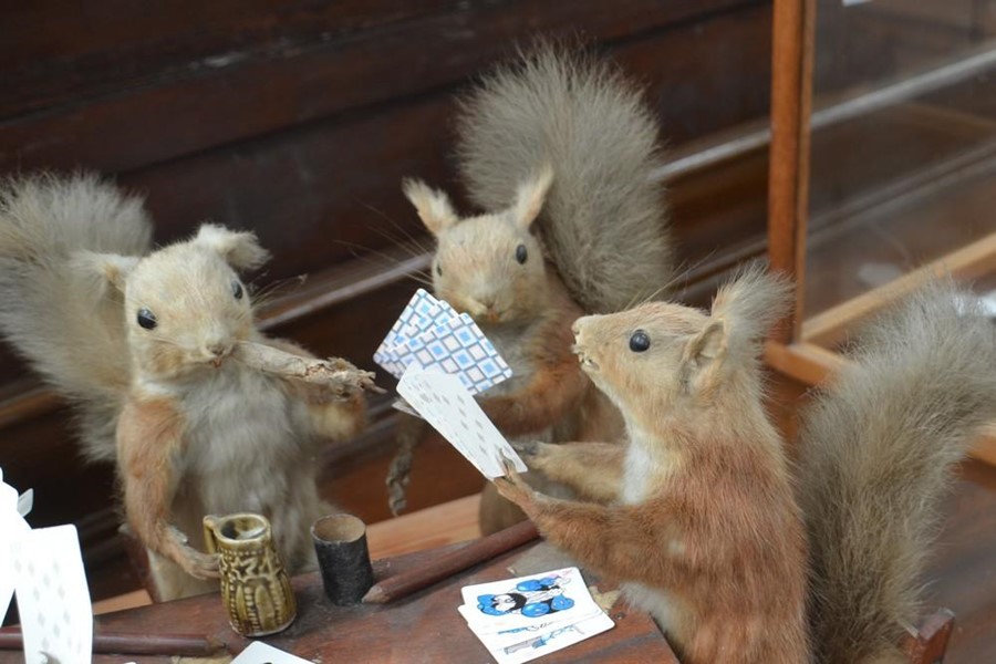 Taxidermy. In the manner of Walter Potter. Victorian group of taxidermy squirrels playing cards, - Image 2 of 5
