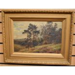 British School (early 20th Century) Study of a Woodland scene oil on canvas, 29 x 43cm inscribed