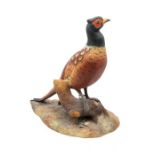 A Royal Crown Derby figure of a Pheasant, matt finish, hand painted, 27cm high.