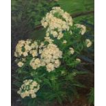 H. Bladen (Derbshire Artist), Phlox in the Garden, oil on canvas, signed and dated '45, approx