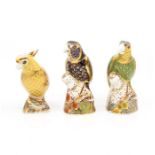 Three boxed Royal Crown Derby citron cockatoo bronze winged parrot and amazon green parrot. All with