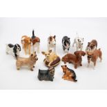 A collection of mainly Beswick dogs to include: Bulldog, Hounds, Dalmation, Boxer, Cairn, Retriever,