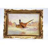 E R Booth (Worcester painter) a painted plaque depicting a pair of Pheasants by water, signed