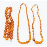 A collection of amber bead necklaces, to include a graduated oval bead butterscotch amber