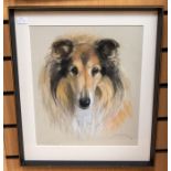 Mabel Gear (1898-1987) Portait of Tweed (Rough Collie Show Champion: Duntiblae Dogwatch born 1961,