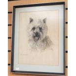 Mabel Gear (1898-1987) Killie - portrait of a Cairn Terrier  oil pastel signed and titled