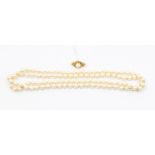 A single strand cultured pearl necklace, cream tone, each pearl approx 6mm, strung knotted, slip