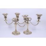 A pair of candelabra