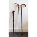 A collection of walking canes