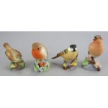 A group of twentieth century Royal Worcester birds. To include: Chaffinch, Great Tit, Robin and