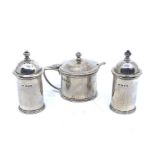 An Elizabeth II silver cruet set, comprising:- a mustard pot and spoon, hallmarked London 1976, a