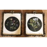 Two circular botanical collages, mounted and glazed in 19th century gilt frames 37cm x 29cm (2)
