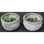 A pair of reconstituted stone cauldron form garden urns, each with moulded rose decoration, 33cm