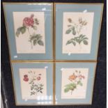 Six early 20th Century prints of flowers, French, 35 x 23cm