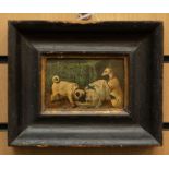 A 19th century oil on board, dogs at the water bowl, unsigned, approx 7cm x 11cm