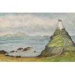Lois Webster FRSA (British), Llandwyn Island, Anglesey, watercolour and ink, signed, approx 25cm x