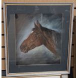 A pastel framed picture of a horse, head pose, signed and details of artist verso (local artist,