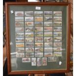 Two frames containing Canadian picture cigarette cards botanical interest