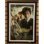 Harry Potter framed poster