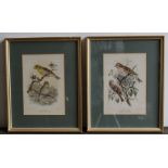 A pair of 20th cent prints of birds