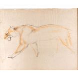 John Skeaping RA (1901-1980)  Study for a Lioness crayon sketch, 37 x 48cm Provenance: vendor's