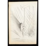 Dame Laura Knight R.A ., RWS, 1877-1970) Study for figure climbing Trapeze  pencil sketch, 29.5 x