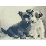 A 20th century portrait of two terriers, framed. 1