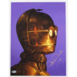 Star Wars: A limited edition Star Wars, C-3PO portrait print, signed by Anthony Daniels. No. 272/