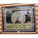 A large framed embroidered picture depicting a peacock, Indian, hand stitched, framed