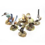 Collection of six boxed Royal Crown Derby birds