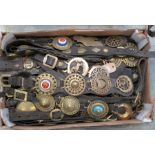 Two boxes of various 19th & 20th Century horse brasses mainly mounted on martingale straps