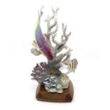 Worcester Royal Porcelain model of a Spanish hog fish, on stand with certificate