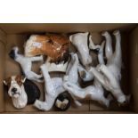 Collection of eleven ceramic wired hair fox terriers, by various factories including Royal