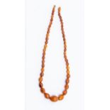 A graduated amber type necklace, comprising irregular beads to the front, the largest approx. 23 x